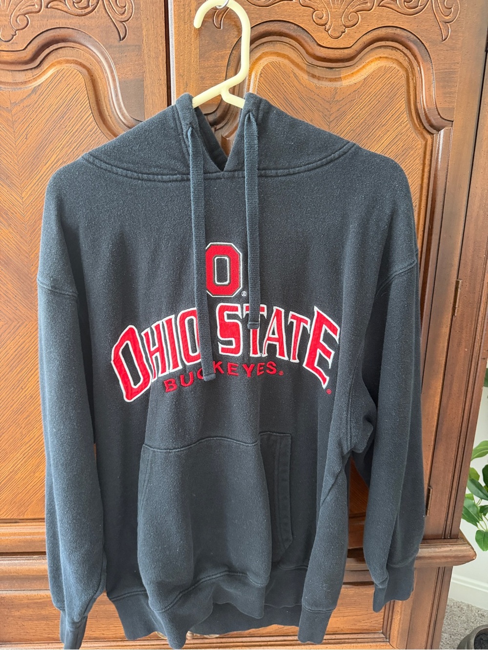 The Ohio State Buckeyes Black Hoodie Sweatshirt